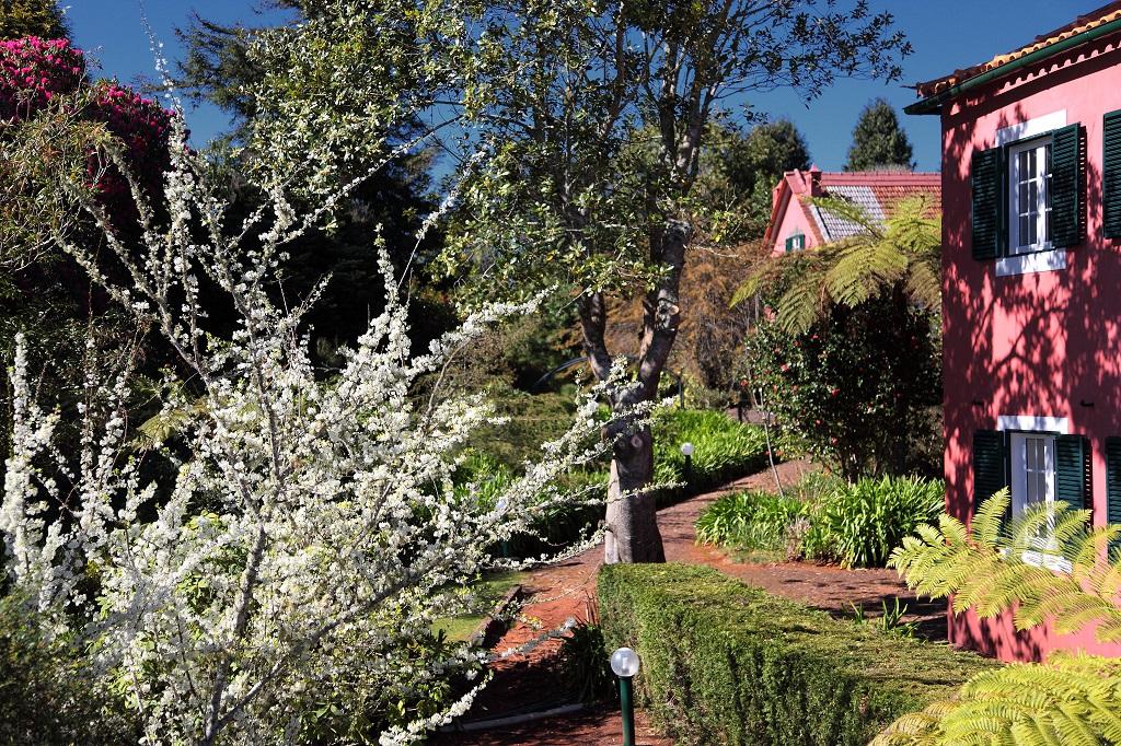 Quinta Santo Antonio Da Serra Exterior photo